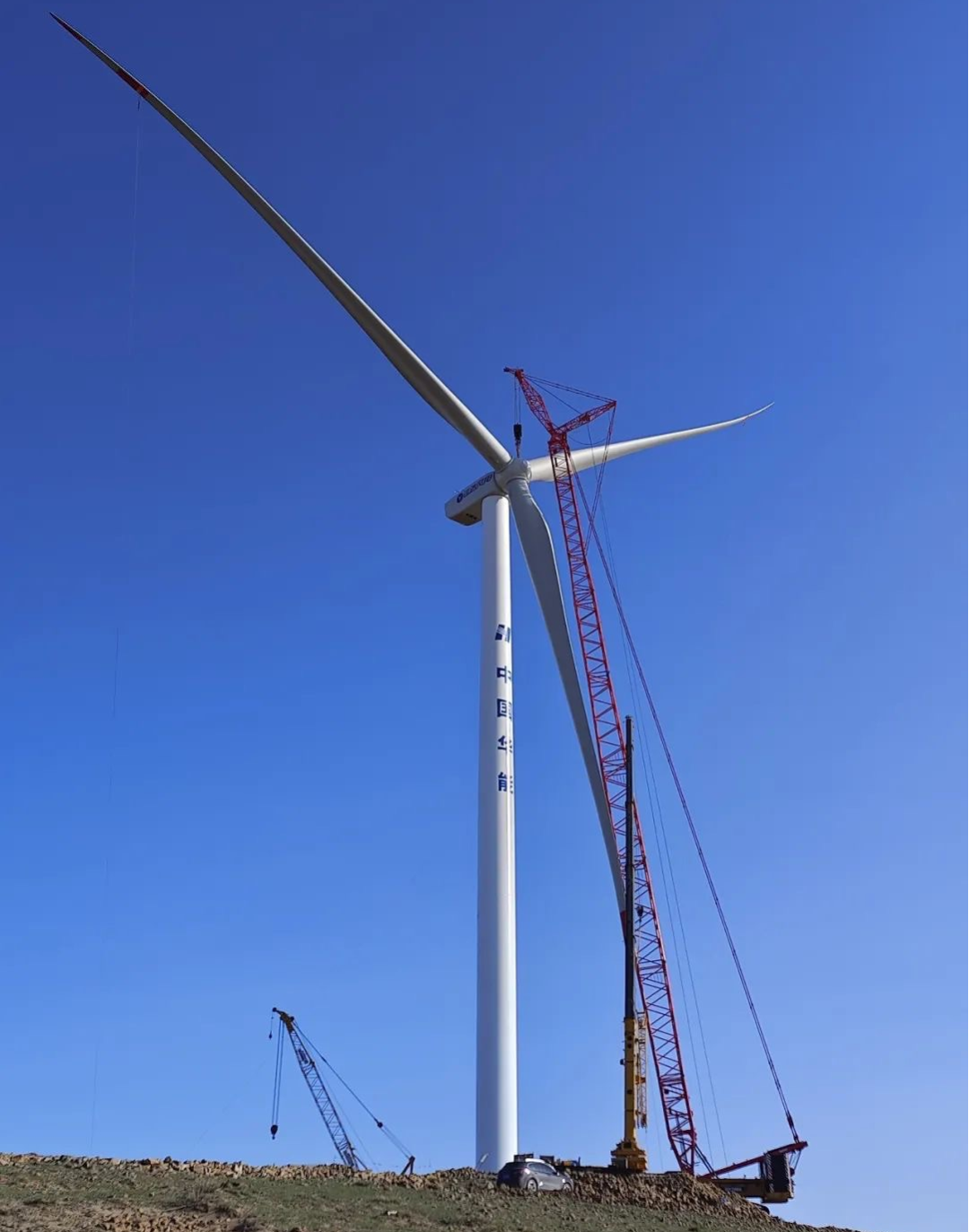 PG电子·仿照器(试玩游戏)官方网站