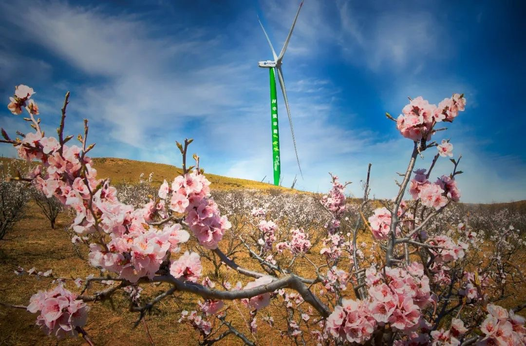 PG电子·仿照器(试玩游戏)官方网站